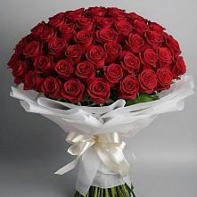 Букет 101 Красная роза Блэк Мэджик в Старой Рузе