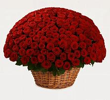 Премиум букет из: Розы в Старой Рузе